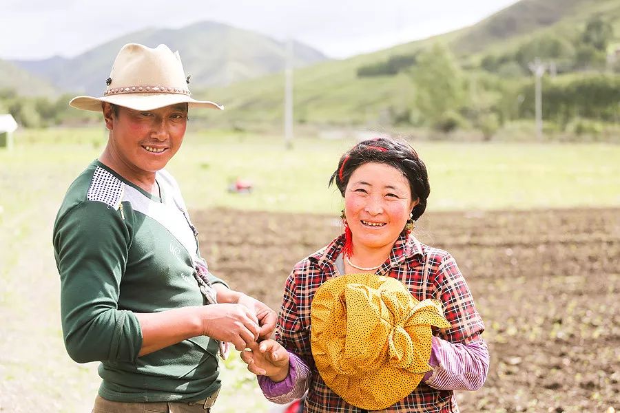 我的祖国美丽的家园,我爱你美丽的祖国