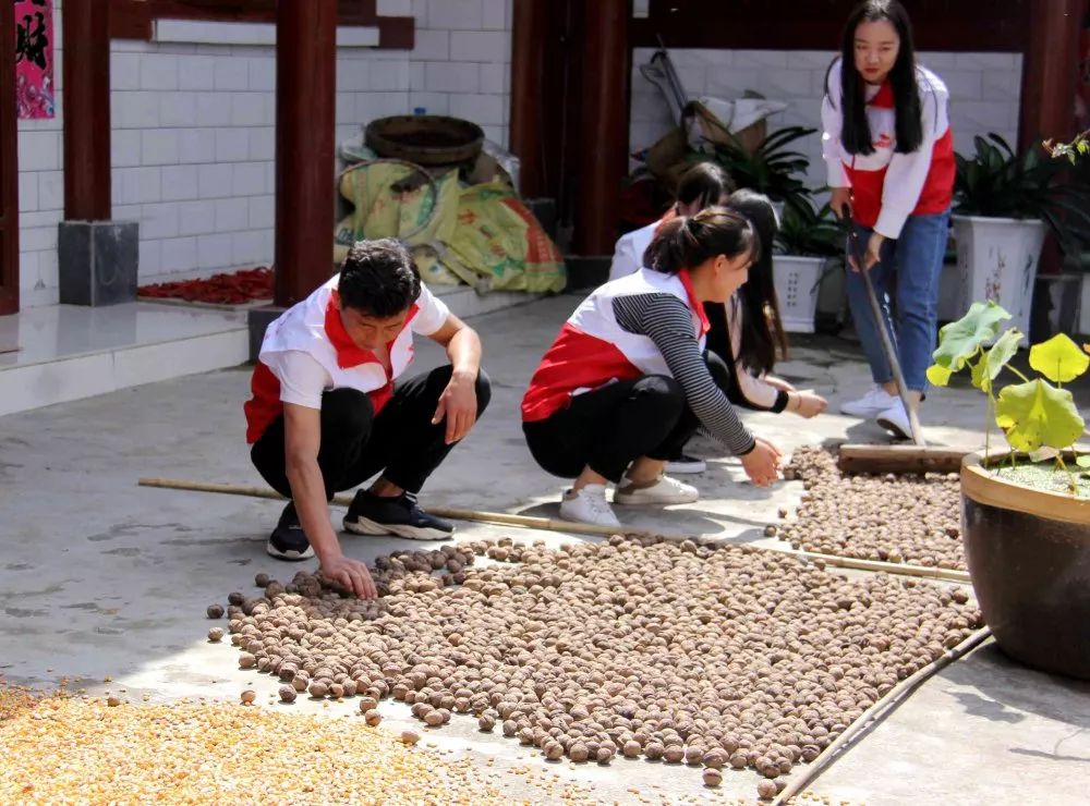 文明实践亮出最美风景线,新时代文明实践站掠影展板