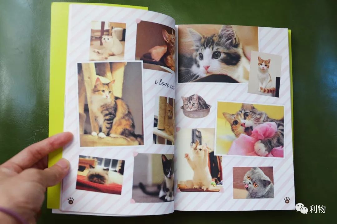 好物分享秋季爆款,秋秋好物分享推荐