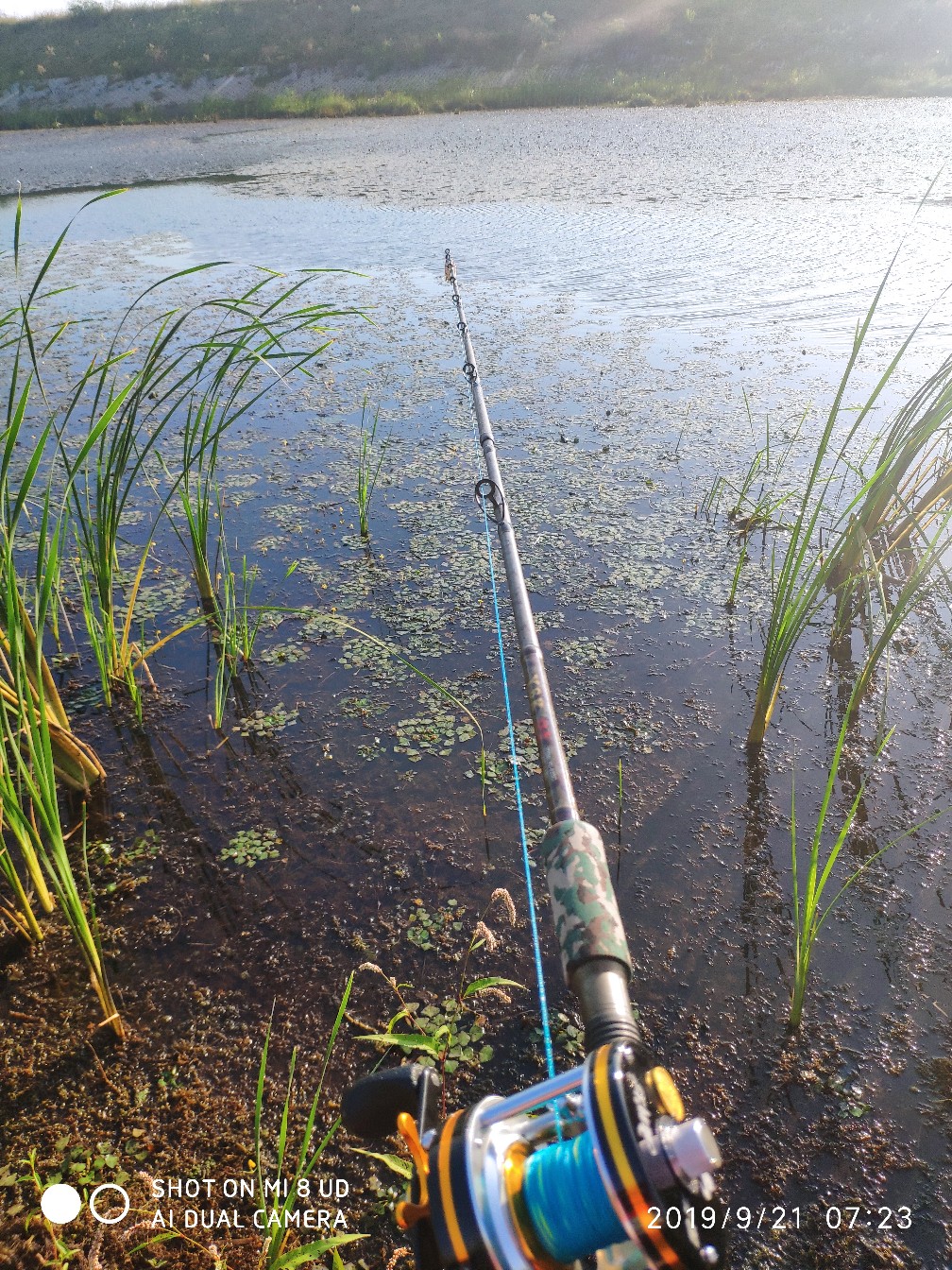 打黑上鱼教程,打黑鱼对轮的要求