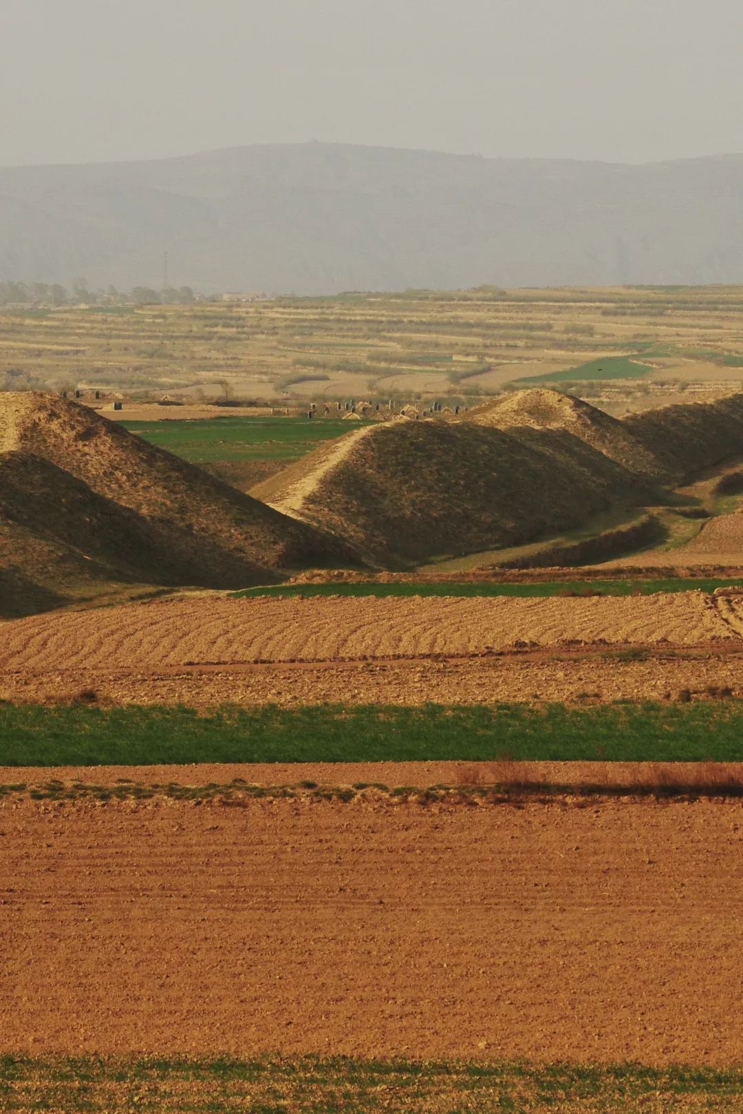 宁夏有多少神奇的故事,宁夏古老的传说