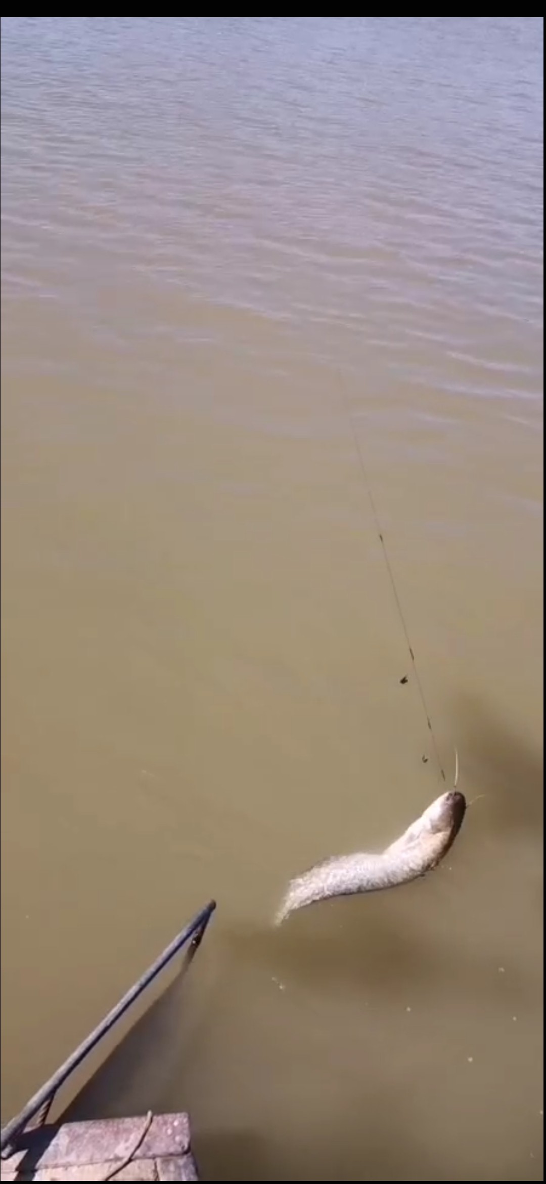 路亚串钩怎么绑线不缠线,怎么绑串钩才能不缠线