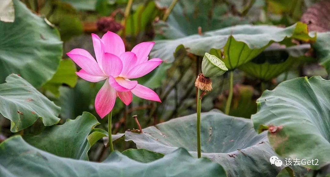 该去G318手册（五）#枝江-宜昌-奉节-恩施∣该去·游