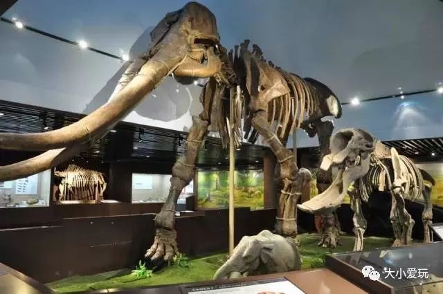 十一北京好玩的地方推荐带孩子去,北京十一旅游好玩的地方推荐一下