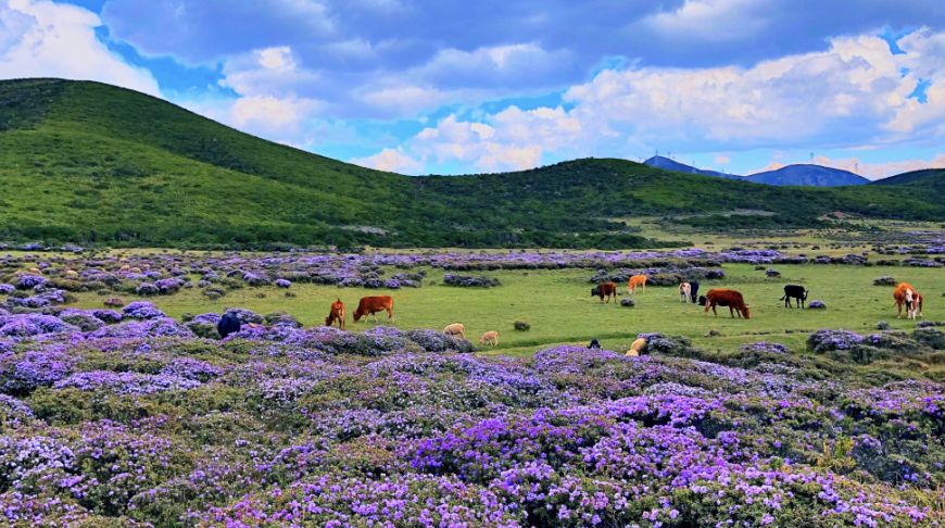 中国梦70周年绘画图片,70周年中国梦绘画作品图片