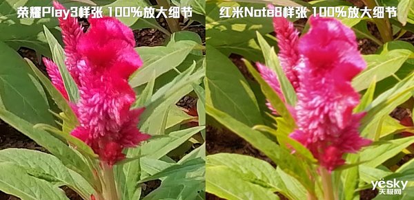 荣耀8x和play3哪个拍照好,荣耀play3和畅享10拍照