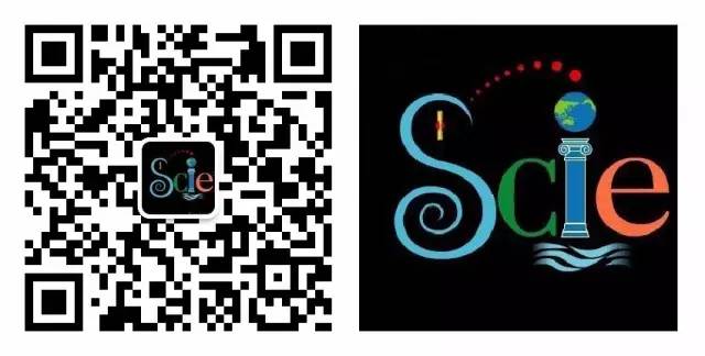 衣服总是皱巴巴的,衣服为啥老是很皱发黄