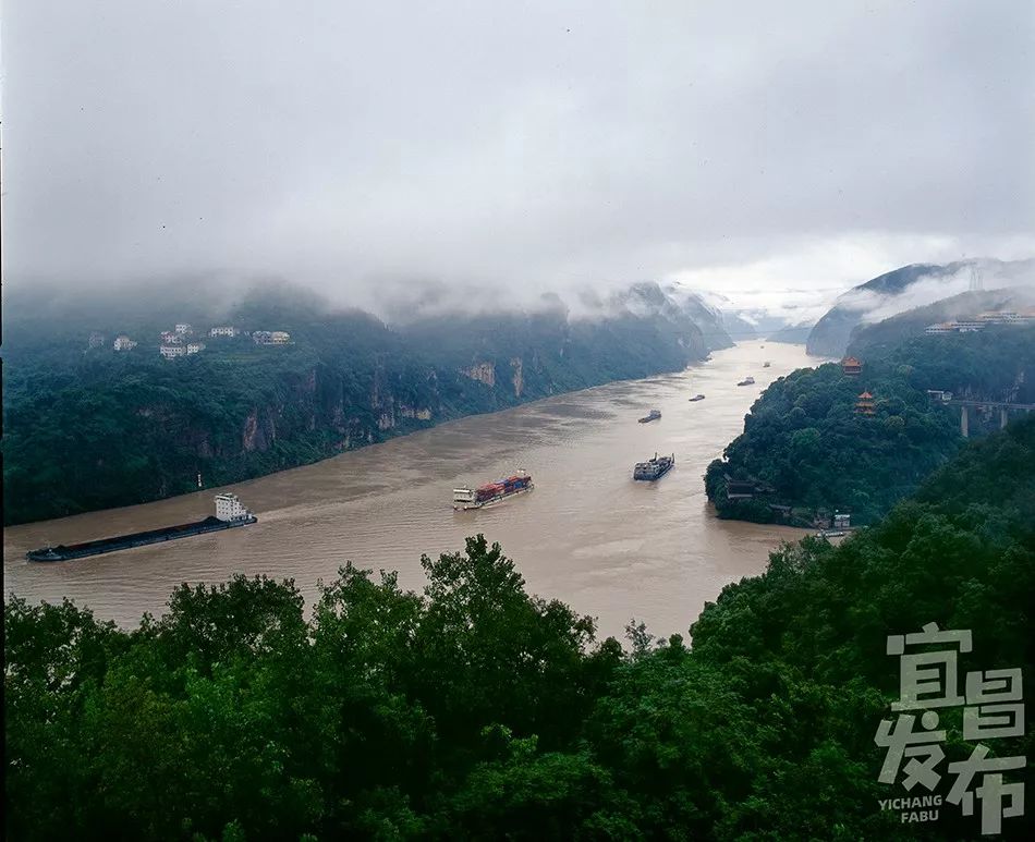 盛夏！好多宜昌人都在拍她