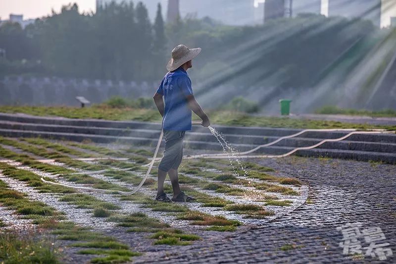 盛夏！好多宜昌人都在拍她