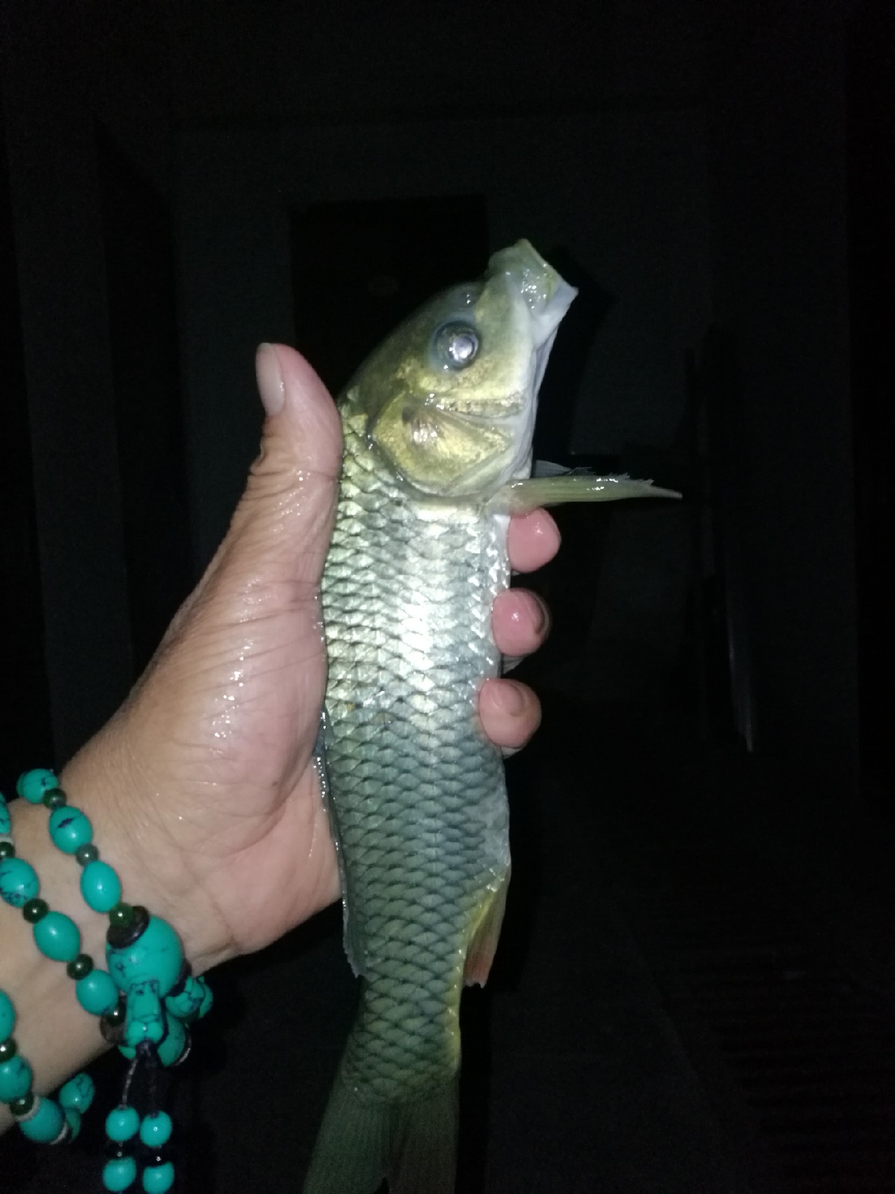 调整军事战略方针,调整战术与战略