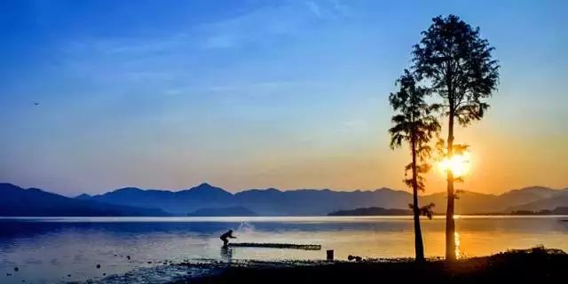 盛世如愿缅怀先烈|来浙里办文旅专区寻一条红色旅游线路，出发！