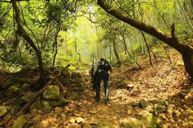 盛世如愿缅怀先烈|来浙里办文旅专区寻一条红色旅游线路，出发！