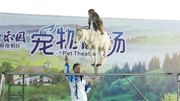 柏乐园附近美食,柏乐园有没有美食