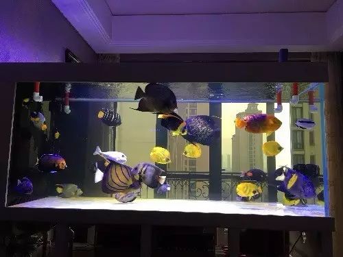 fot多大缸,fot高缸