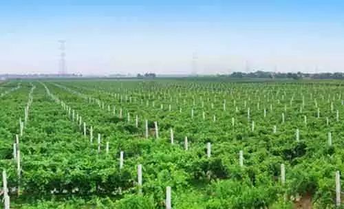 河北省张家口市涿鹿县新闻,河北张家口市涿鹿县地图