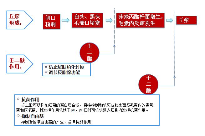 哪个牌子的壬二酸凝胶好,首博尔壬二酸清痘凝胶副作用