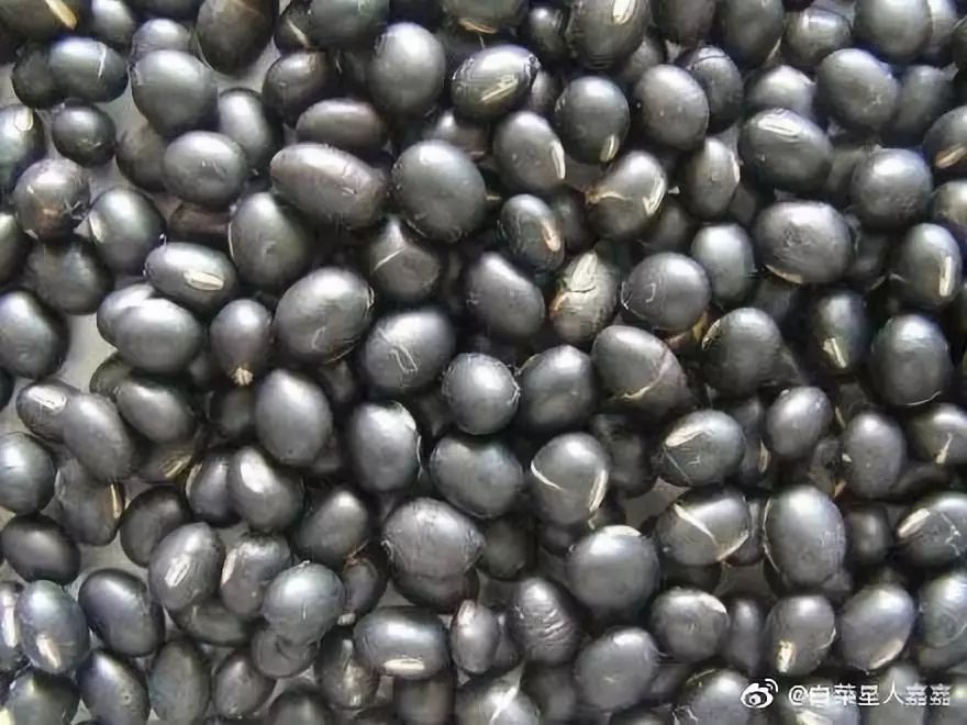 骨头汤虾皮补钙靠谱吗,骨头汤真的没有营养吗