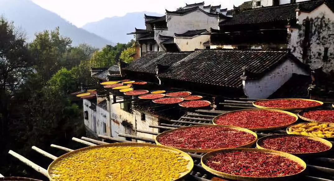 佳节又重阳玉枕纱橱半夜凉初透,佳节又重阳完整版