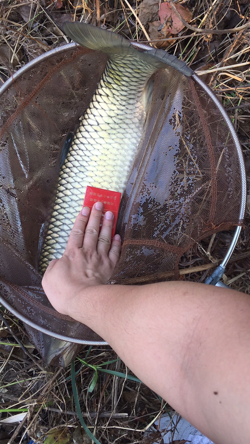 假期回家阖家欢乐,假期来郊外玩心情美美哒