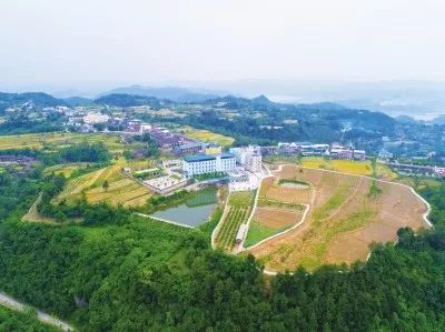 广元精神卫生中心规划,四川苍溪精神卫生中心如何