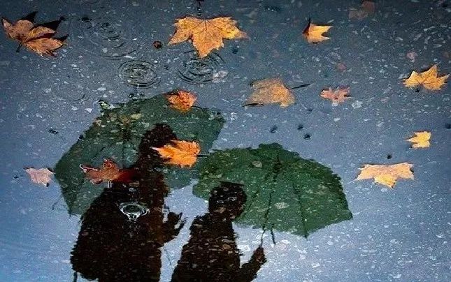 「速读泸州1009」最高气温仅24℃，这个周把凉爽贯彻到底