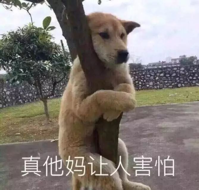 网络占卜秘诀大全最新版本,算命割韭菜