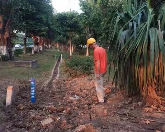 假日中一道靓丽的风景,假日里那个忙碌的身影