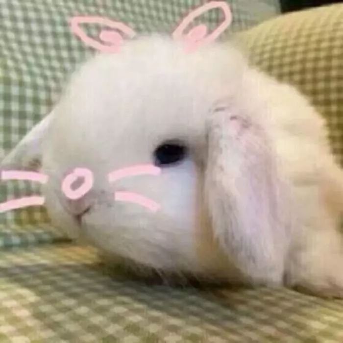 谁还不是个小可爱文案,谁小时候还不是个小可爱