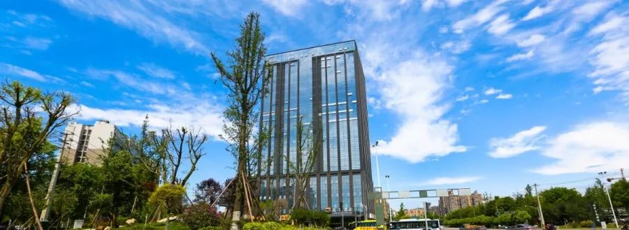 青白江，你凭什么上榜4个“全国百强”？