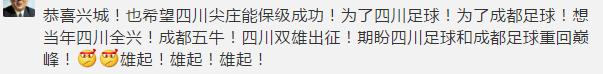 成都首座专业足球场,成都将建12个专业足球场