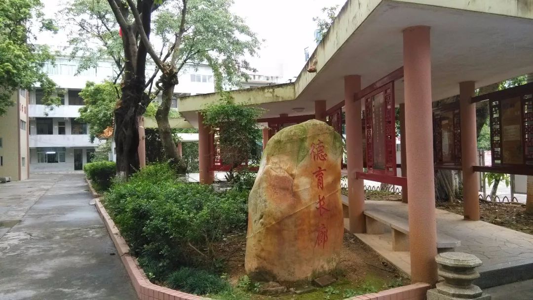 点赞小学学校特色课程,点赞优秀的学校