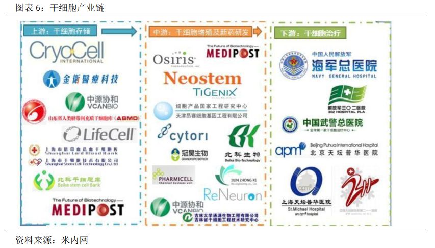 赛莱拉2015年报,赛莱拉2017分红