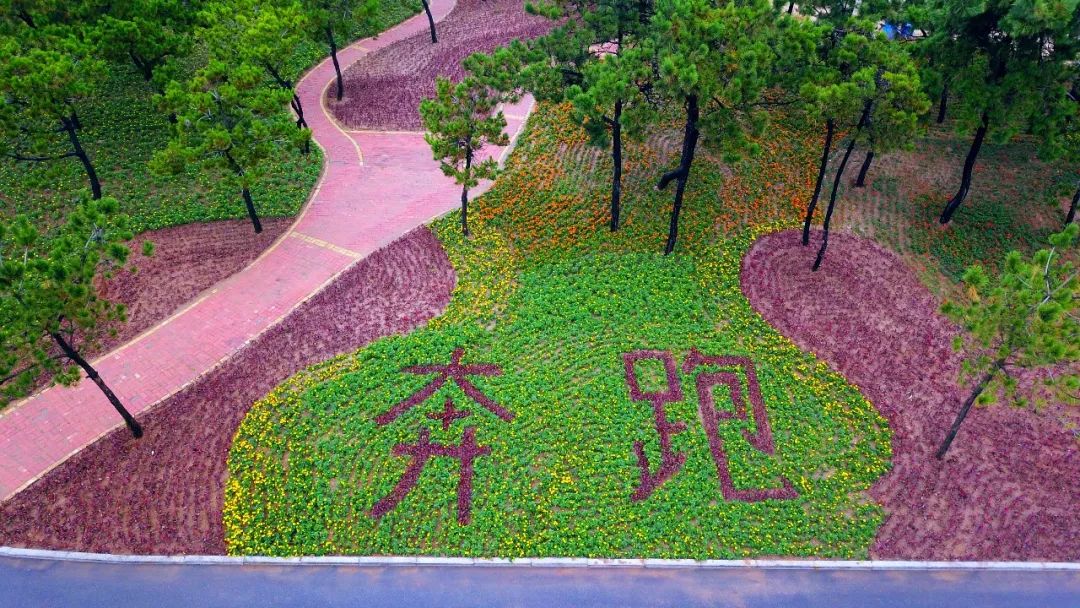 什么天气最影响马拉松,马拉松实时天气