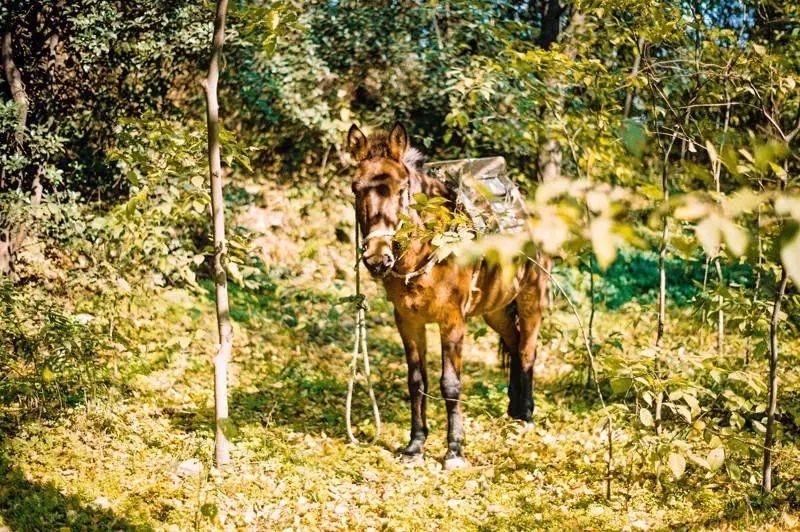 耗时3年的花间堂创始人新作，以船代步揭开杭城小众一面