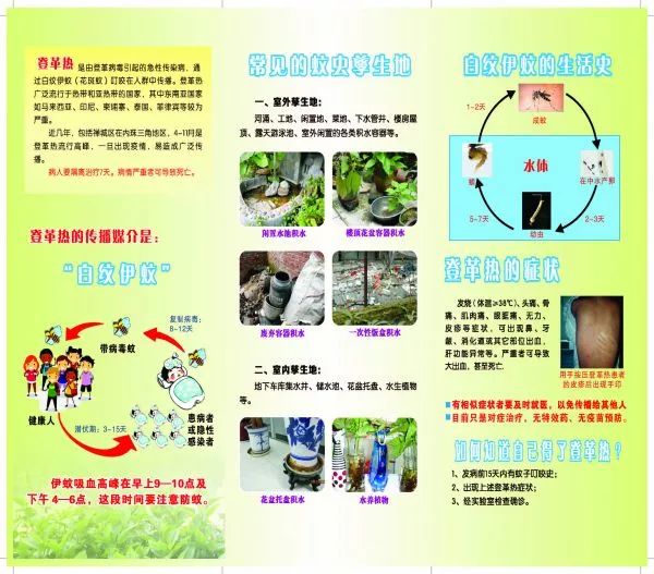 科普知识大赛短视频,科普健康知识大赛