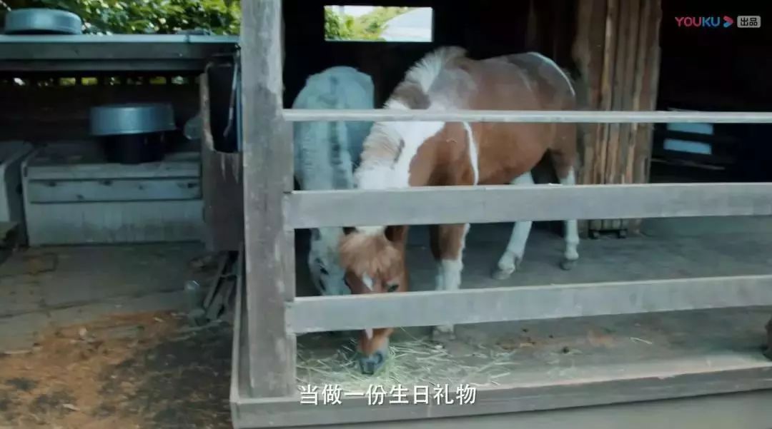 日本诺贝尔奖多少,日本19年诺贝尔奖