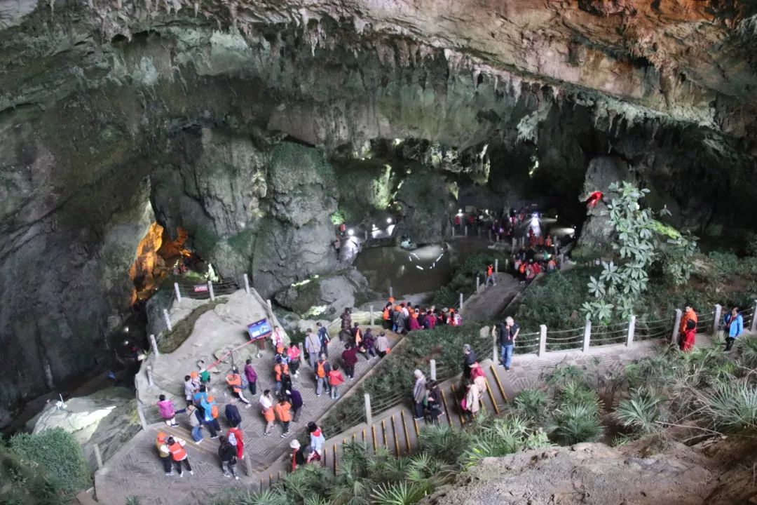 关注|游世界地质公园·品织金洞天美食，千人畅游织金洞