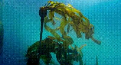 脸上搓下来很多泥,脸上搓出黑头