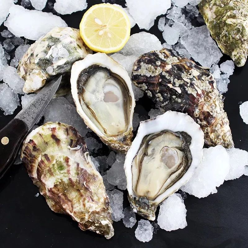 东盟商务区是不是都很有趣,住在东盟商务区的感受