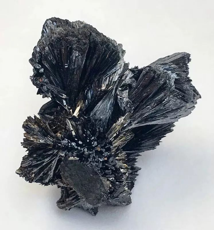 谁还不是个小可爱呢下一句,谁还不是小可爱