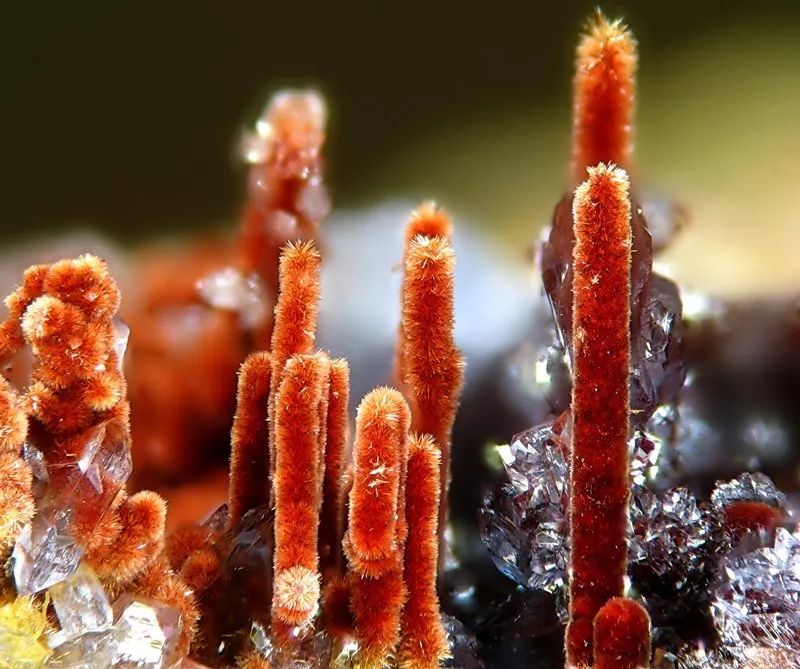 谁还不是个小可爱文案,谁小时候还不是个小可爱