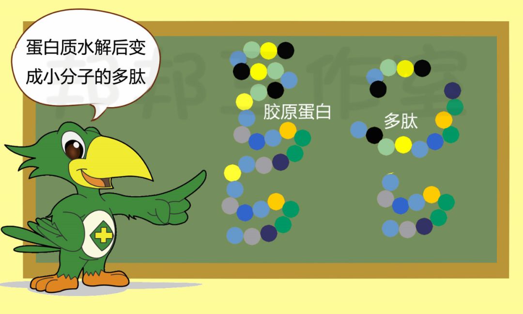 胶原蛋白和美白丸一起吃,胶原蛋白抗糖美白丸