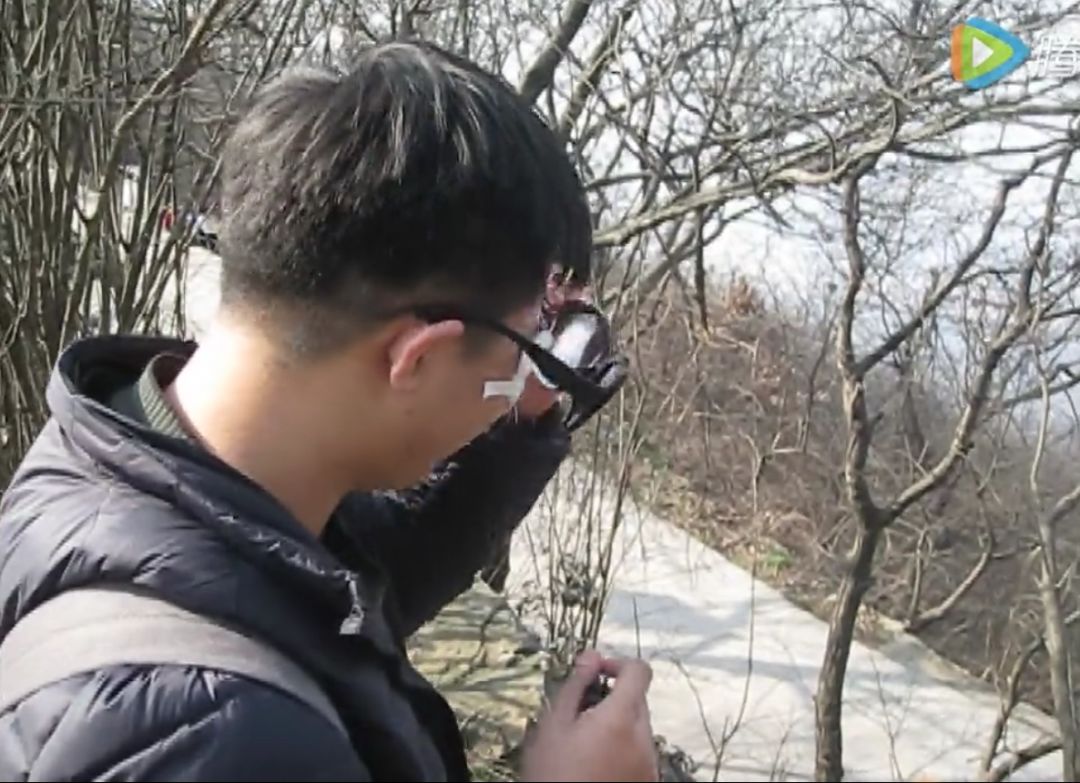 国际盲人节：假如让我三天失明