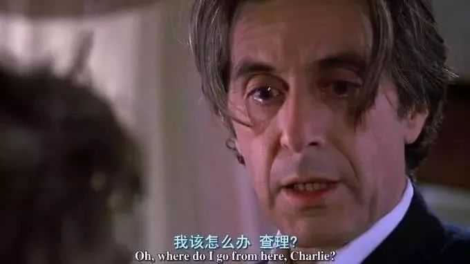 国际盲人节：假如让我三天失明