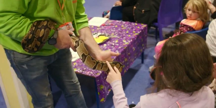 bbc苏格兰纪录片,bbc纪录片苏格兰