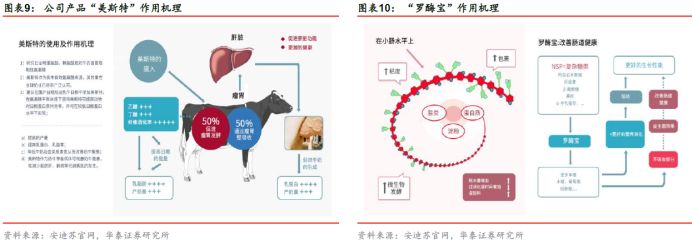 华泰固收银行张继强,华泰固收首席张继强