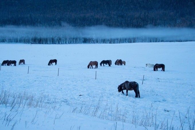 喀纳斯机场实行全年通航，10月27日起冬季直飞喀纳斯机票订起来，低至150元