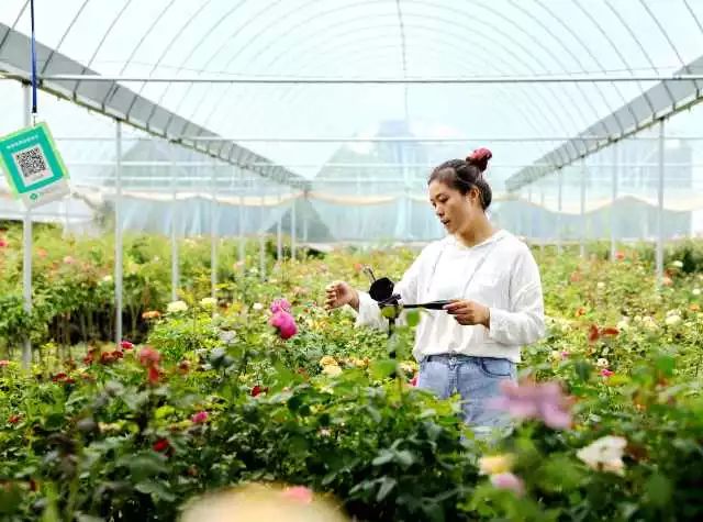 专版聚焦！《新华日报》这样点赞沭阳~