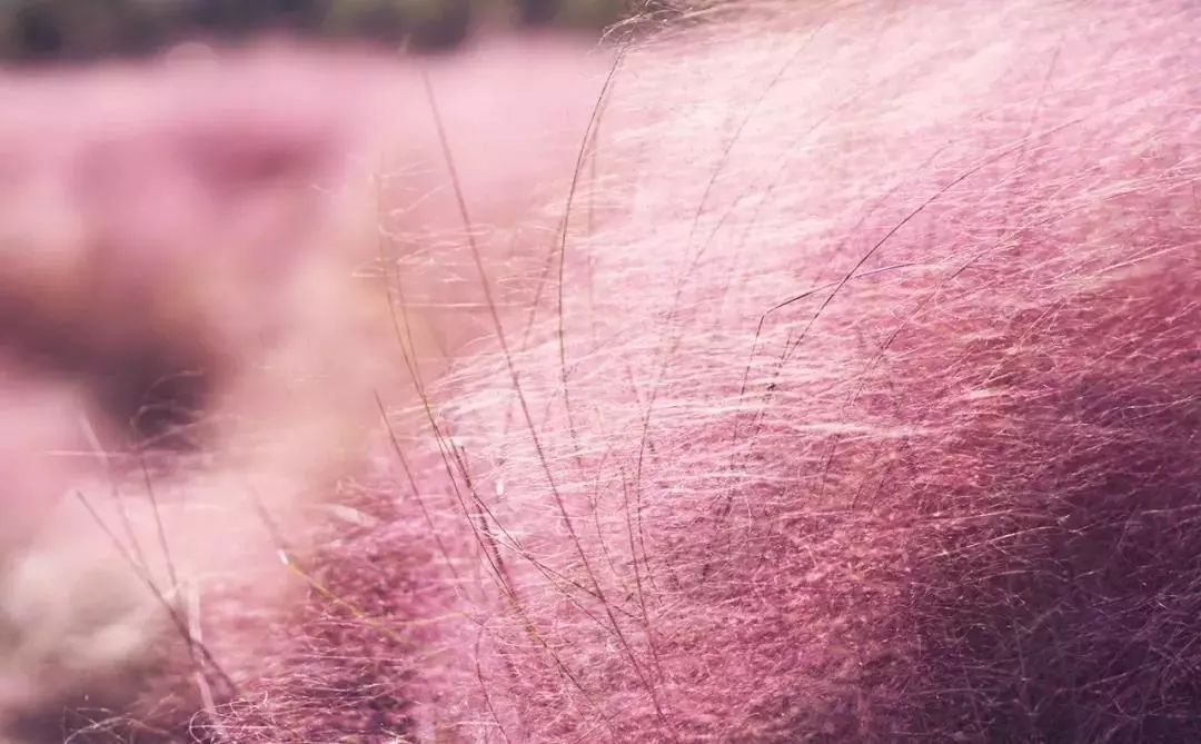 黄石周边一日游网红打卡地,黄石市爬山散步