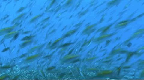 央视财经纪录片2024,央视财经栏目名单